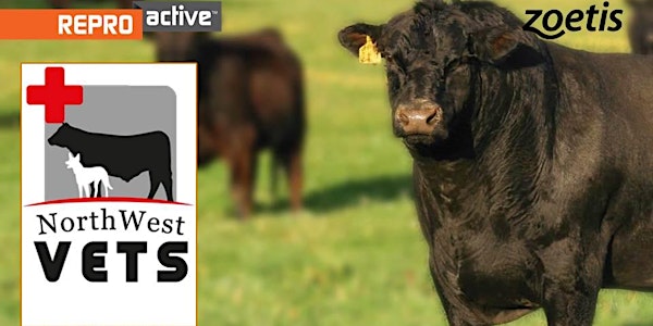 ReproActive NorthWest - More Calves, More Often