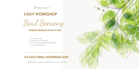 Soul Sensing: energy reading from soul to soul in daily life tickets