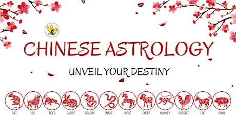Chinese Astrology (Bazi) 101 tickets