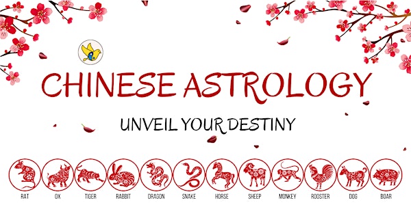 Chinese Astrology (Bazi) 101