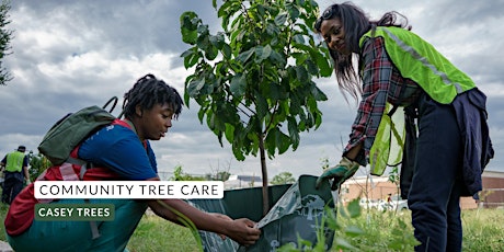 Community Tree Care: Hardy Recreation Center