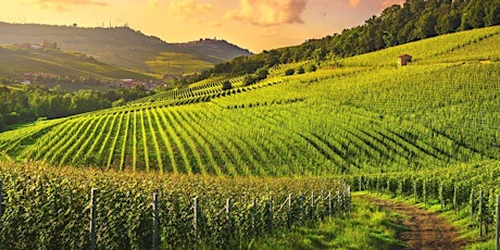 Italian Wine Class June 2022 tickets