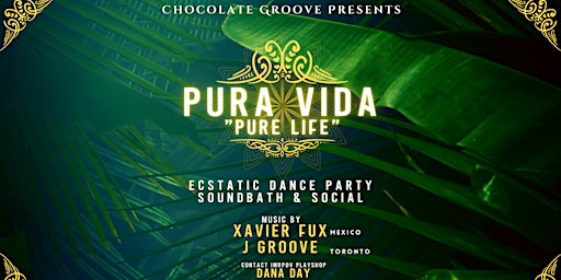 Chocolate Groove - Cacao Ecstatic Dance Party & Social