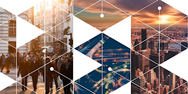 Inclusive AI: Technology and Policy for a Diverse Urban Future
