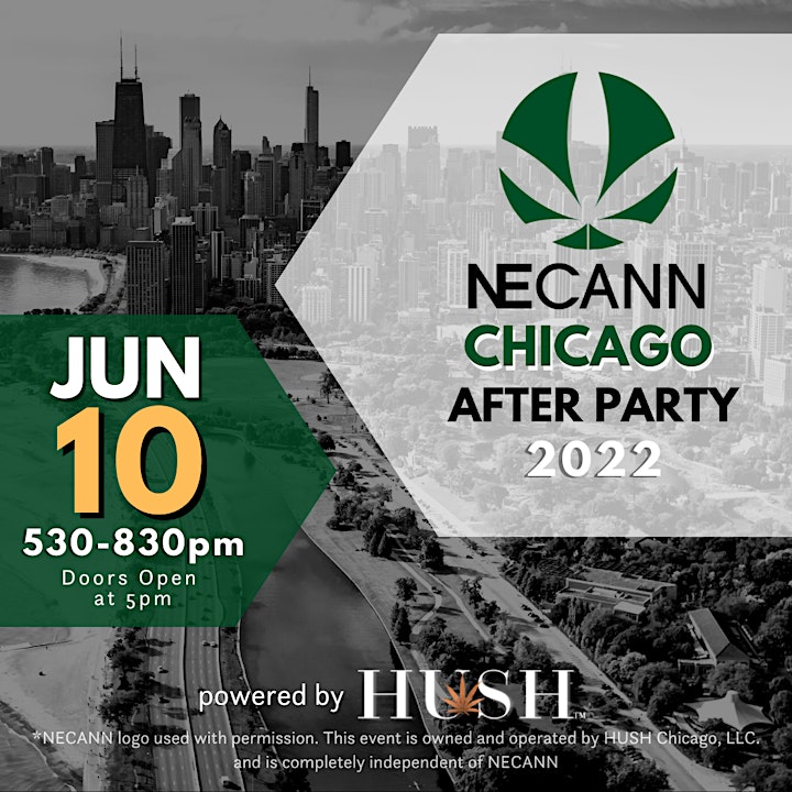 NECANN IL Networking After Party 2022 image