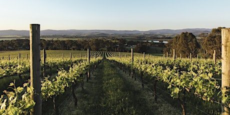 Agtech in the Vineyard Demonstration Day - Yarra Valley tickets