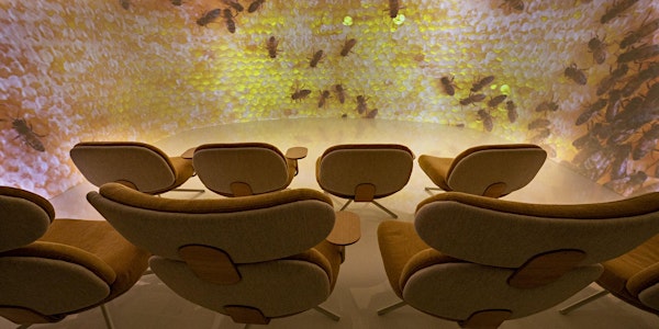 Immersive Honey Tasting Experience