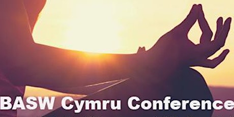 BASW Cymru Conference:Social Services & Wellbeing (Wales) Act - 1 year on primary image