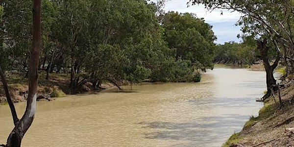 Barwon-Darling, Floodplain Harvesting and Western Regional Water Strategy