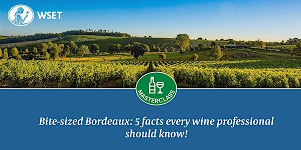 Bite-sized Bordeaux: 5 facts every wine professional should know! Red wine