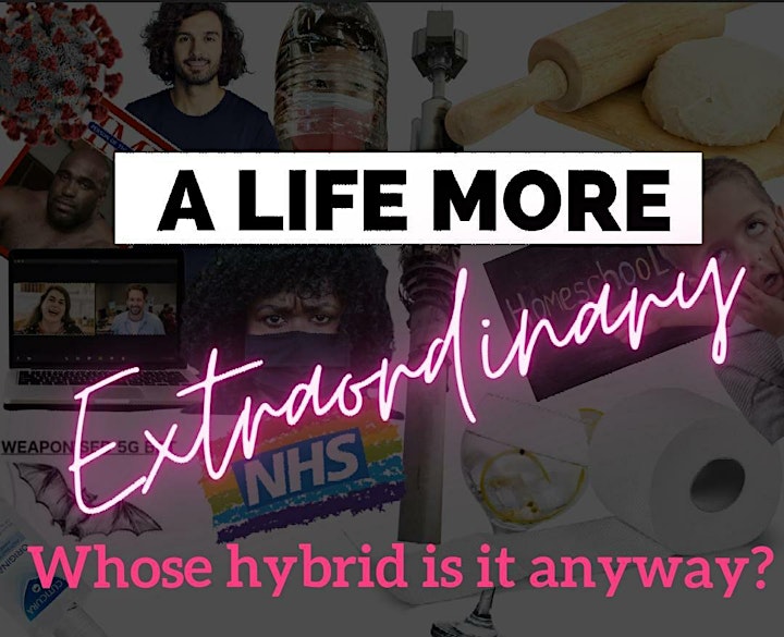 A Life More Extraordinary -  WHOSE HYBRID IS IT ANYWAY? image