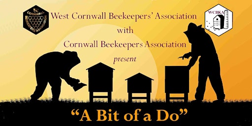 "A Bit of a Do" -  Bee Keeping Convention in Truro, Cornwall