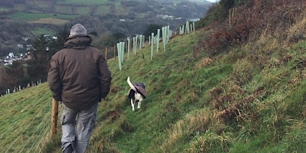 The Natural Capital Marketplace: An introduction for Devon farmers