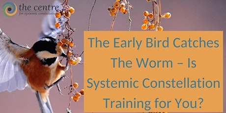 The Early Bird Catches The Worm–Is Systemic Constellation Training for You? primary image