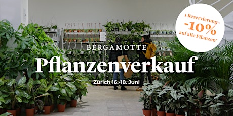 Bergamotte Pflanzenverkauf // Zürich tickets