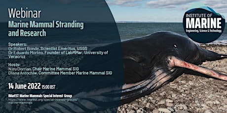 Marine Mammal SIG Webinar: Marine Mammal Stranding and Research tickets