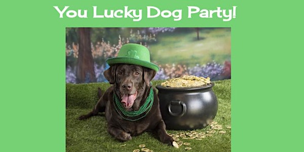 BarkHappy Baltimore You Lucky Dog Party benefiting Baltimore Humane Society!