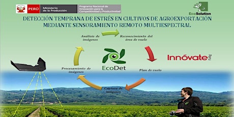 Imagen principal de DETECCIÓN TEMPRANA DE ENFERMEDADES EN CULTIVOS DE AGRO EXPORTACIÓN MEDIANTE SENSORAMIENTO REMOTO MULTI-ESPECTRAL
