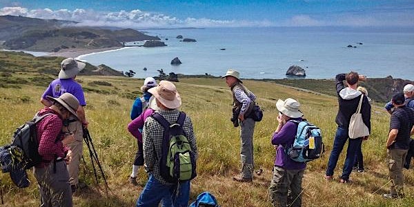Nature Walk at the Jenner Headlands with Peter Leveque 5-12-17