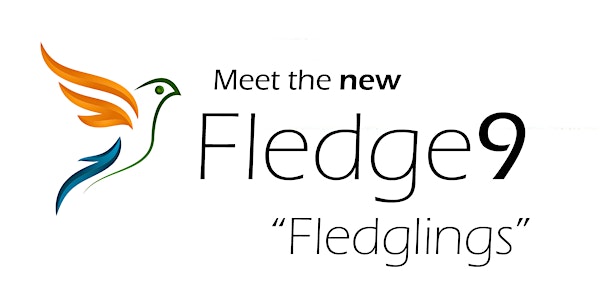 Meet the Fledge9 Fledglings