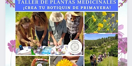 Taller de plantas medicinales d'Eivissa entradas