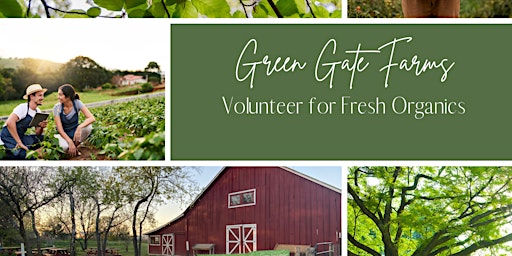 Green Gate Farm Volunteer for Organic's