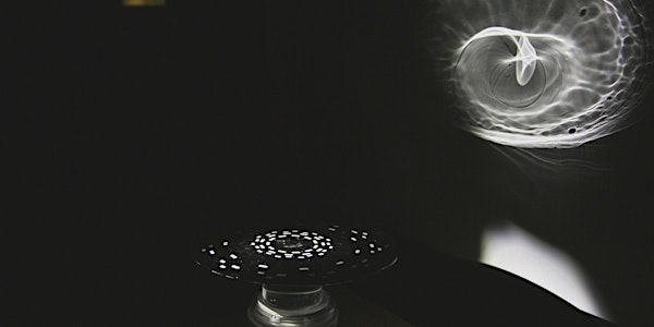 Reciprocal structures: conversations in light and sound