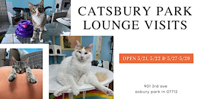 Cat Lounge Visits!