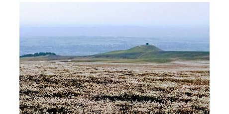 Lecture: "Winter Hill After The Fires" tickets