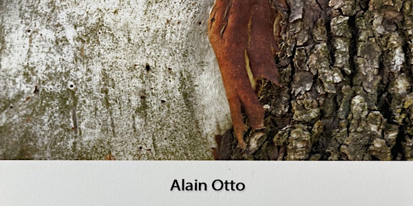 Alain Otto Solo Exhibition