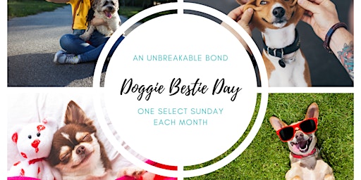 Doggie Bestie Day at Picture Project CLT