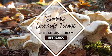 Summer Lochside Forage tickets