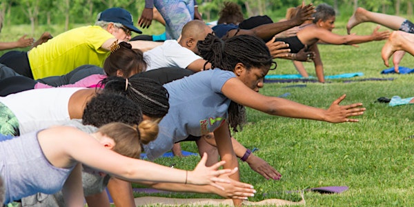 FREE Yoga at Palmer Park in partnership with the People for Palmer Park