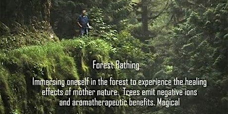 Forest Bathing Therapy-The practice of Shinrin-Yoku tickets
