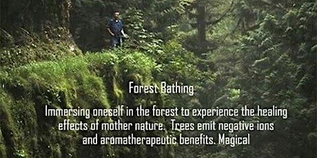 Forest Bathing Therapy-The practice of Shinrin-Yuko tickets