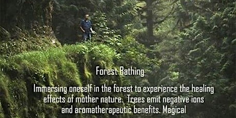Forest Bath Therapy-The practice of Shinrin-Yoku tickets