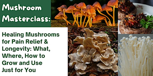 Healing Mushroom Masterclass