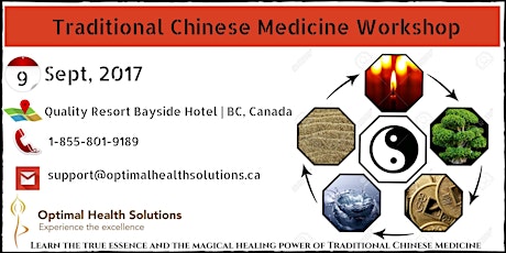 Traditional chinese medicine workshop primary image