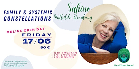Online Family & Systemic Constellation with Sakino entradas