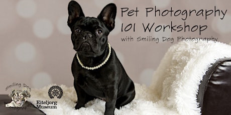 Pet Photography 101 