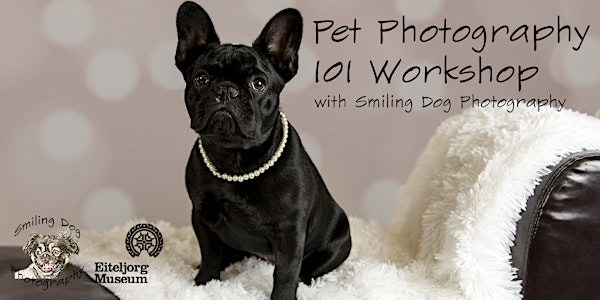 Pet Photography 101