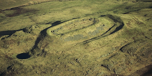 Archaeology Guided Walk: Barry Hillfort