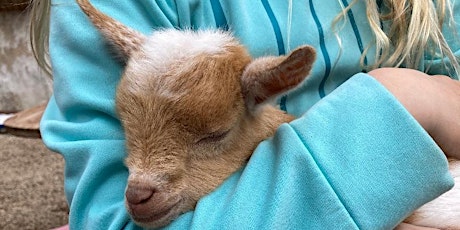 Happy Hour with baby goat snuggles! tickets