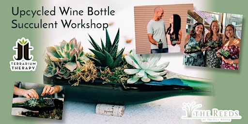 In-Person Wine Bottle Succulent Workshop at The Reeds at Shelter Haven!