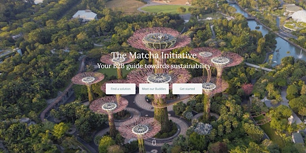The Matcha Initiative - June Evening - A year to celebrate