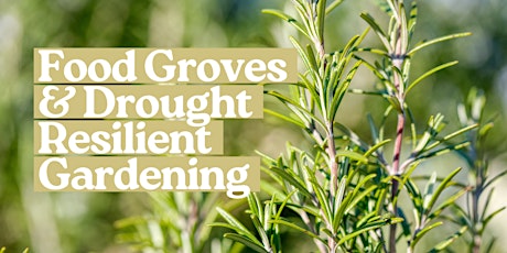 Food Groves and Drought Resilient Gardening