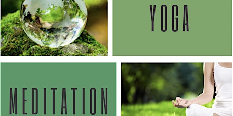Outdoor Yoga for World Environment Day  primärbild