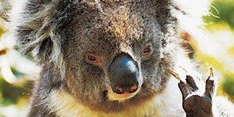 International Student Bus Tour to Gorge Wildlife Park primary image