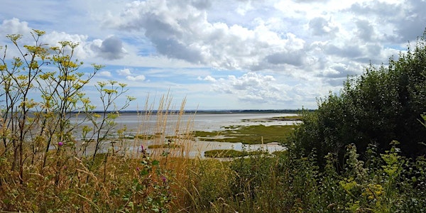 Ramsgate Society Talk on  Sandwich and Pegwell Bay National Nature Reserve