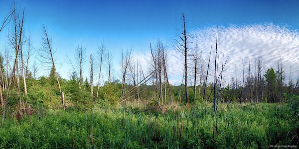 Harper Park Community Summit